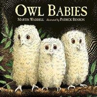 Martin Waddell Owl Babies : Over two million copies sold - a heartwarming bedtime