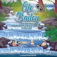 Sensei Paul David Life of Bailey A True Life Story: Bailey's First Vacation To Costa