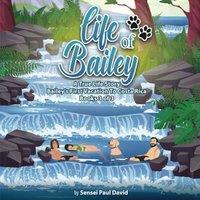 Sensei Paul David Life of Bailey A True Life Story: Bailey's First Vacation To Costa