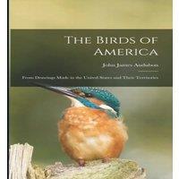 John James Audubon The Birds of America: From Drawings Made in the United States and