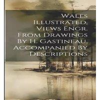 Anonymous Wales Illustrated, Views Engr. From Drawings By H. Gastineau in White