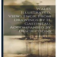 Anonymous Wales Illustrated, Views Engr. From Drawings By H. Gastineau