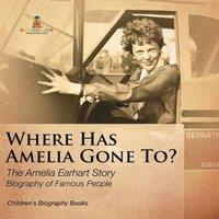 Baby Professor Where Has Amelia Gone To? The Amelia Earhart Story Biography of
