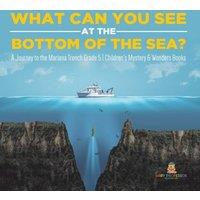 Baby Professor What Can You See in the Bottom of the Sea? A Journey to the