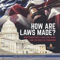 Baby Professor How are Laws Made? : How Democratic Laws are Made & the Role of