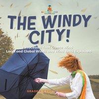 Baby Professor The Windy City Processes That Create Wind Local & Global Winds