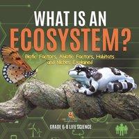 Baby Professor What is an Ecosystem? Biotic Factors, Abiotic Factors, Habitats