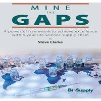 Steve Clarke Mine the Gaps: A powerful framework to achieve excellence within in White