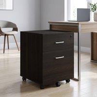 STILVORA Locking Filing Cabinet with 2 Drawers & Wheels in Black