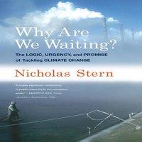 Nicholas Stern Why Are We Waiting?: The Logic, Urgency, & Promise of Tackling