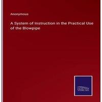Anonymous A System of Instruction in the Practical Use of the Blowpipe in White