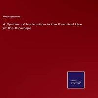 Anonymous A System of Instruction in the Practical Use of the Blowpipe