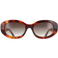 Ted Baker Women's Oval Gloss Classic Tortoise Brown Gradient TB1758 Daisie