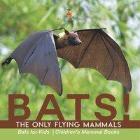 Baby Professor BATS The Only Flying Mammals Bats for Kids Children's Mammal in Orange