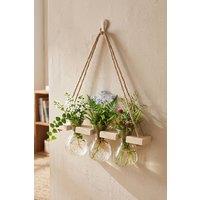 Living and Home Wall Hanging Plant Propagation Station with 3 Vases & Wooden Frame in Natural