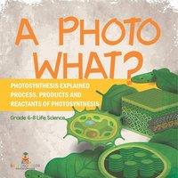Baby Professor A Photo What? Photosynthesis Explained Process, Products and