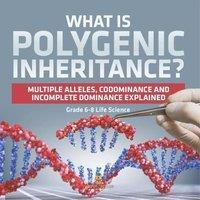 Baby Professor What is Polygenic Inheritance? Multiple Alleles, Codominance and in White
