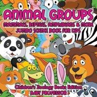 Baby Professor Animal Groups (Mammals, Reptiles, Amphibians More): Jumbo Science