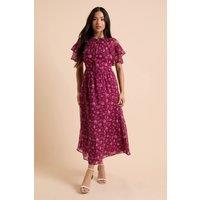 Dorothy Perkins Women's Petite Berry Ditsy Flutter Sleeve Frill Yoke Printed Chiffon Midaxi Dress | Size: 16