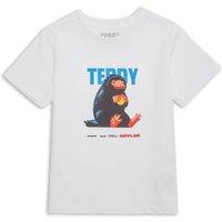 FANTASTIC BEASTS Teddy Kids T-Shirt - White | Size: YXL