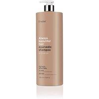 Erayba ABH Ayurvedic Hydrating Shampoo 1000ml in Clear