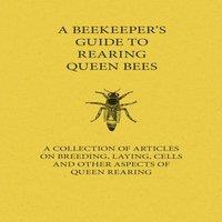 Various Authors A Beekeeper's Guide to Rearing Queen Bees - A Collection of