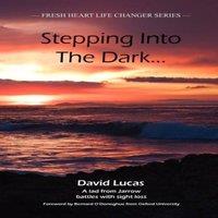 David Lucas Stepping Into the Dark: A Lad from Jarrow Battles with Sight Loss