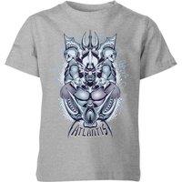 DC Comics Aquaman Atlantis Seven Kingdoms Kids T-Shirt - Grey | Size: YL