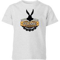 Looney Tunes ACME Logo Kids T-Shirt - Grey | Size: YS