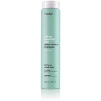 Erayba ABH Detox Refresh Shampoo 250ml in Clear