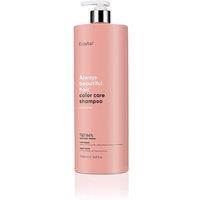Erayba ABH Detox Color Care Shampoo 1000ml in Clear