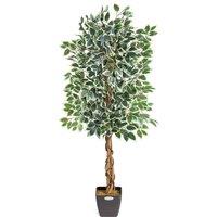Christow Artificial Variegated Ficus Tree Realistic Faux House Plant in Pot in Green | Size: 5ft
