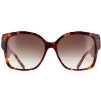 Ted Baker Women's Square Gloss Classic Tortoise Brown Gradient TB1767 Linia