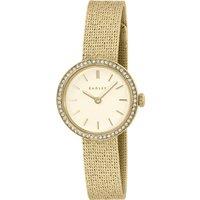 Radley Women's RY4652 27mm Quartz Watch in Gold