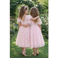 Lilly + Bo Girl's Anya in Ballet Pink ~ Party or Flower Girl Dress | Size: 3-4 Years