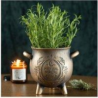 KDMD Herbal Magic Bronze Effect Terracotta Cauldron Plant Pot