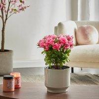 Wyld and Coco Pink Rhododendron 36 cm Artificial Plant Indoor Potted Decor in Green