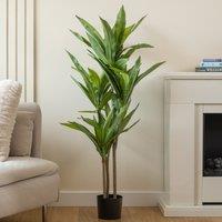 Scottish Everlastings Ltd 120cm Real Touch Draceana Tree in Green