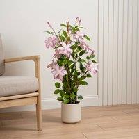 Scottish Everlastings Ltd 98cm Real Touch Climbing Clematis in WhIte Pot in Pink
