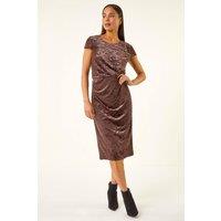 Roman Women's Petite Velvet Burnout Stretch Dress in Chocolate | Size: 16