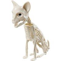 Living and Home Spooky Cat Skeleton Figurine Bone Statue for Halloween Decor in Cream