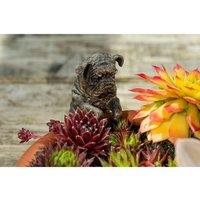 Jardinopia English Bulldog Plant Pot Hanger in Bronze