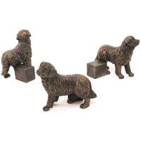 Jardinopia Bernese Mountain Dog Plant Pot Feet - Set of 3 - L8 x W8.5 x H10.3 cm in Bronze