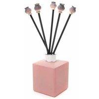 Jardinopia Diffuser Decor - Poppy Seed Heads Range - L10 x W10 x H2 cm