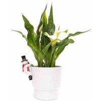Jardinopia Full Colour Snow Man Pot Buddy - L10.5 x W7.8 x H5.4 cm in White