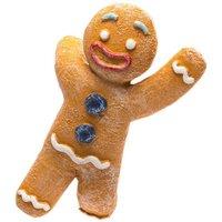 Jardinopia Full Colour Gingerbread Man Pot Buddy - L11 x W6.5 x H3 cm in Orange