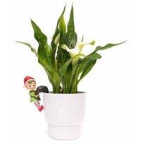 Jardinopia Full Colour Naughty Elf Pot Buddy - L11.5 x W7 x H5 cm