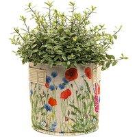 Jardinopia Iona Buchanan Meadow Fabric 23L Pots - L45 x W45 x H27 cm - Cream