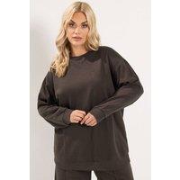 Yours Women's Crew Neck Sweatshirt in Chocolate | Size: 18-20