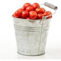 NESTLUNE 15L Tradition Galvanised Strong Steel Metal Large Bucket Plant in Silver | Size: 1.25kg